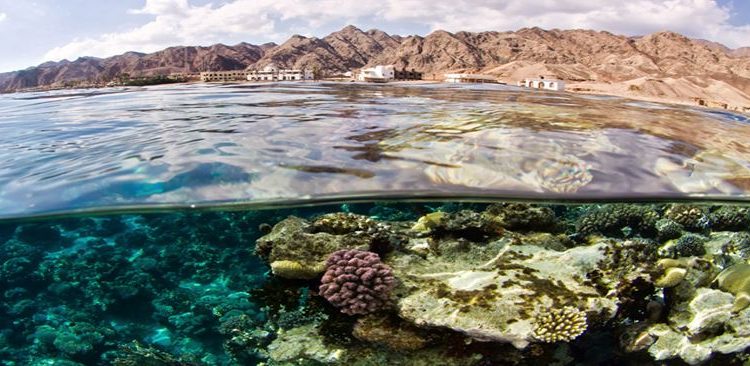 Abu Galum reserve, a must-visit in Sinai 2 - Egyptian Gazette Abu Galum reserve, a must-visit in Sinai 1 - Egyptian Gazette