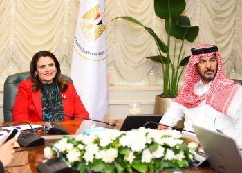 Emigration minister underlines rights, obligations of Egyptians working in S. Arabia