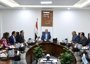 PM follows up on phosphoric acid production project in New Valley