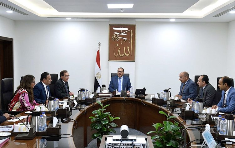 PM follows up on phosphoric acid production project in New Valley 1 - Egyptian Gazette