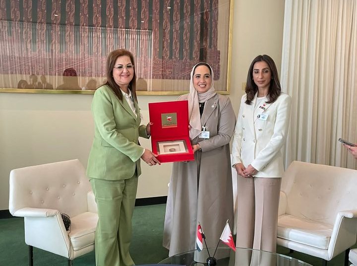 Planning min. urges securing executive tools for developing nations 1 - Egyptian Gazette