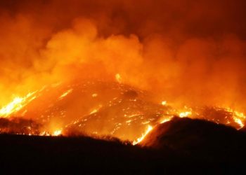 Record heatwaves sweep the world, from US to Japan via Europe