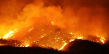 Record heatwaves sweep the world, from US to Japan via Europe