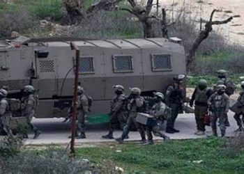 Egypt condemns Israeli aggression in Jenin, warns of repercussions on regional peace, security