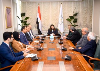 Emigration minister confers with delegation of Egyptian doctors in Houston