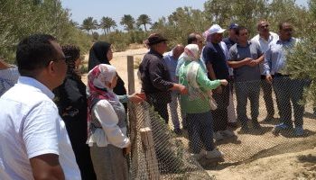FAO delegation visits DRC in South Sinai to discuss sustainable development projects