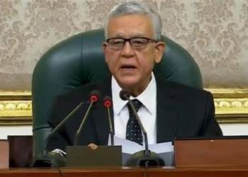 Par’lt approves bill on delivery of multipurpose terminal in East Port Said Port