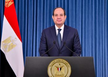 Sisi: July 23 Revolution is source of inspiration for national liberation across world