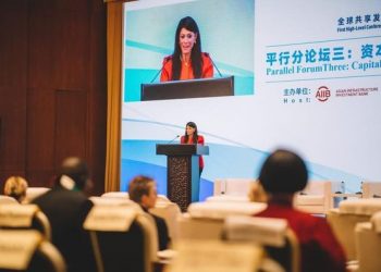 Mashat: Global inflation, economic repercussions upped development requirements