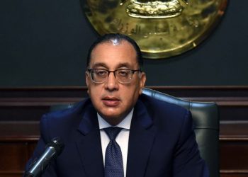 PM: Egyptian State spares no effort to support Egyptians abroad