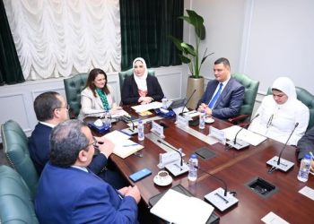 Qabbaj, Gendi probe agenda of Egyptian expats conference