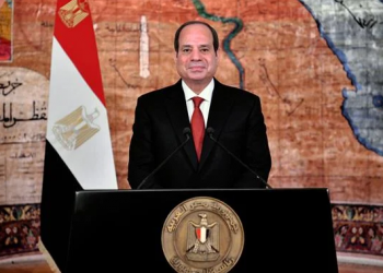 President Sisi’s efforts help promote free trade, sustainable development in Africa – experts