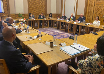 Egypt, Hungary discuss deepening strategic partnership