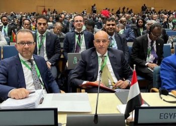 Egypt participates in AU Executive Council in Kenya