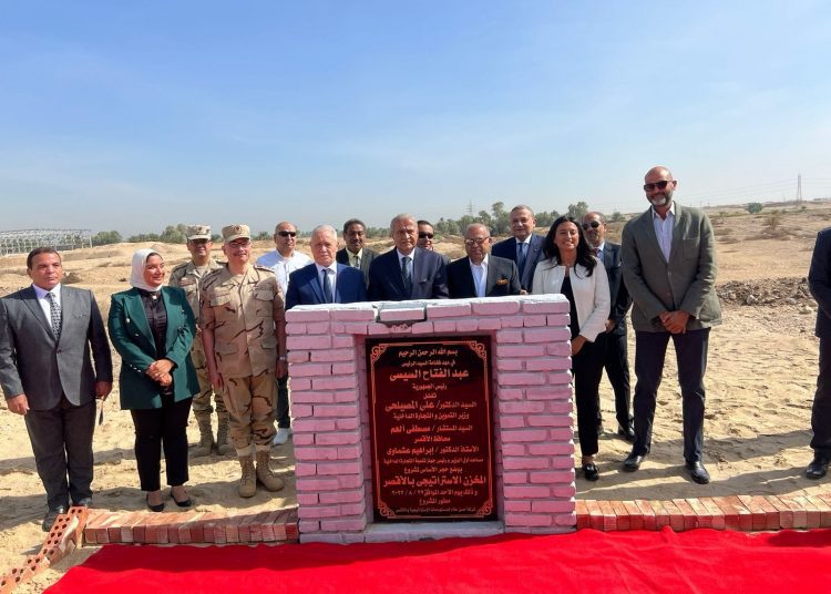 Wheat stockpile sufficient for 4.7 months - min. 1 - Egyptian Gazette