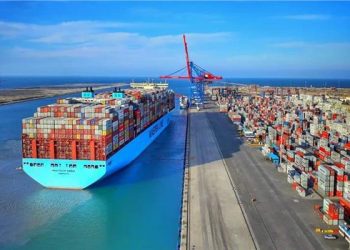 Cabinet lauds state efforts to boost competitiveness of Suez Canal