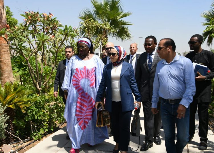 Cameroon's housing minister commends Egypt's effort to develop unsafe areas 1 - Egyptian Gazette