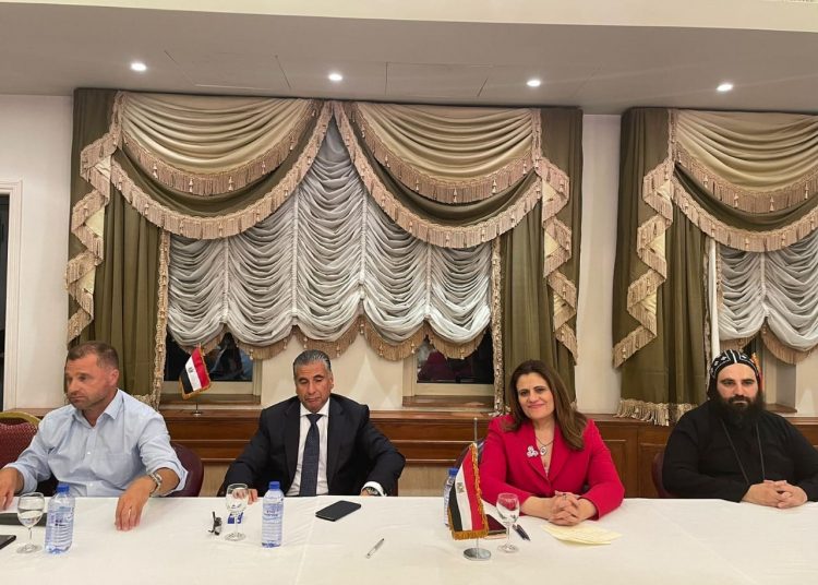 Egypt co-operates with Cypriot bodies to deal with challenges facing expats: Minister 1 - Egyptian Gazette