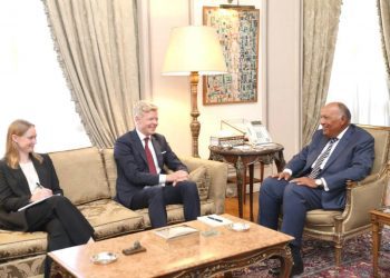 FM to UN envoy: Egypt committed to UN role in settling Yemeni crisis