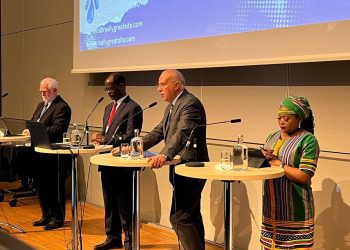 Sewilam asserts importance of improving services of water, drainage in Africa