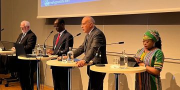 Sewilam asserts importance of improving services of water, drainage in Africa