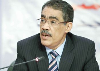 National Dialogue to debate sessions’ outcomes Thursday: Rashwan