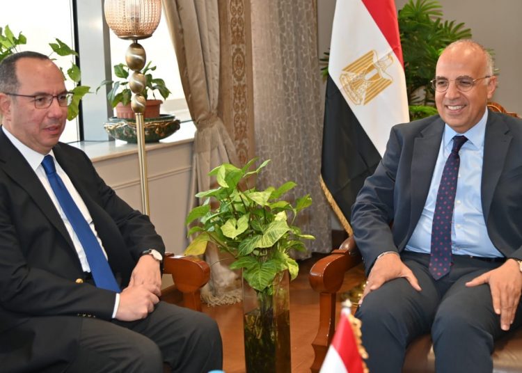 Irrigation min. reviews progress of projects implemented by Egypt in S.Sudan 1 - Egyptian Gazette