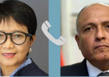 Egypt, Indonesia FMs probe ties, regional issues