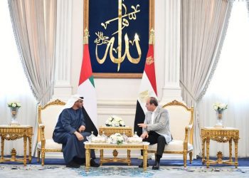 Sisi, UAE president underline keenness on continued coordination at all levels