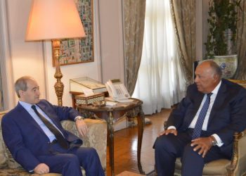 Shoukry affirms keenness of Arab committee on Syria on completing its assigned tasks