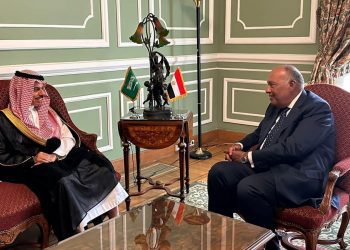 Shoukry, Saudi FM review boosting bilateral ties