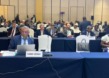 Environment min. to partake at AMCEN