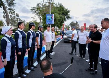 Sisi: We’re keen on finding final solutions to economic crisis