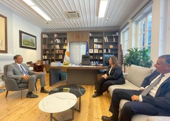 Gendi: Egypt took major strides in illegal immigration domain