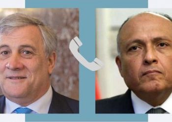 Egypt, Italy FMs discuss bilateral ties over phone