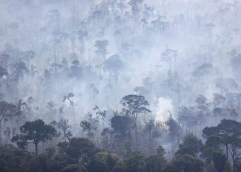 Environmentalists step up Amazon monitoring as fire season picks up