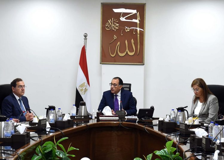 PM reviews proposal by int'l company to establish two factories 1 - Egyptian Gazette