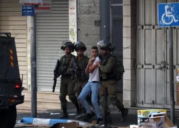 Israeli occupation detains 12 Palestinians in WB, GS