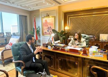 Gendy: State seeks to increase Egypt expatriates’ participation in elections