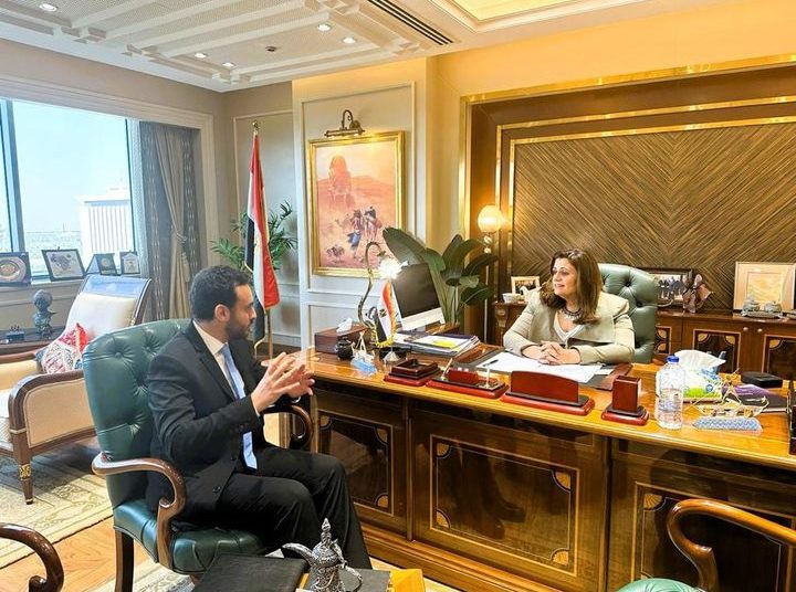 Gendy: State seeks to increase Egypt expatriates' participation in elections 1 - Egyptian Gazette