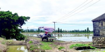 Egypt-China agricultural co-operation gives room for old traditions to flourish   