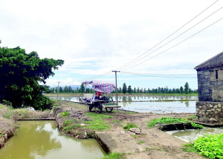 Egypt-China agricultural co-operation gives room for old traditions to flourish 2 - Egyptian Gazette Egypt-China agricultural co-operation gives room for old traditions to flourish 1 - Egyptian Gazette