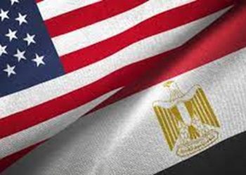 Egypt condoles with US over Hawaii fires