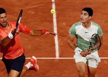 Djokovic, Alcaraz to face off in Davis Cup