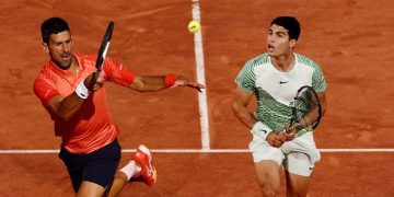 Djokovic, Alcaraz to face off in Davis Cup