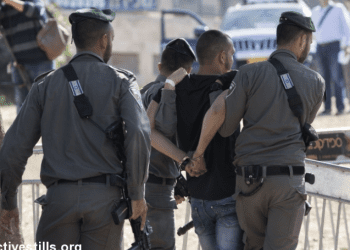 37 Palestinians arrested in West Bank