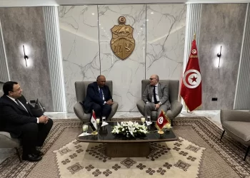 Egypt, Tunisia FMs co-chair 15th session of political consultation committee