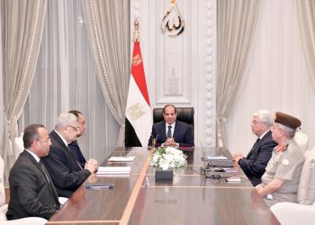 Sisi: Developing Ain Shams University hospitals vital project for advancing health services