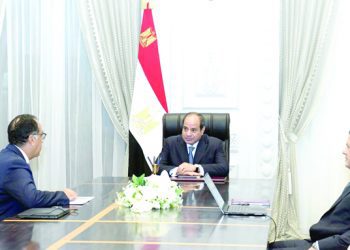 Sisi: Intensive action to develop industry as driver for overall economic advancement