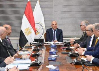 Egypt pledges co-operation in African economic integration